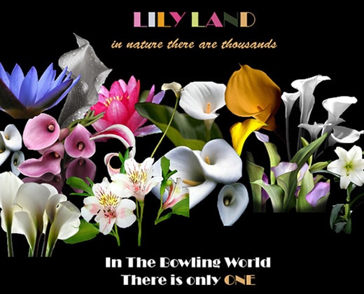 Lily Land cover image